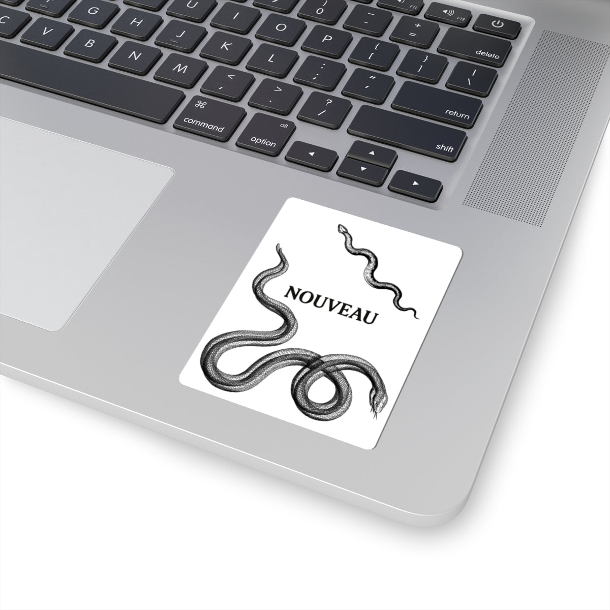 NOUVEAU Slithering Around Sticker